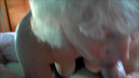 12606
