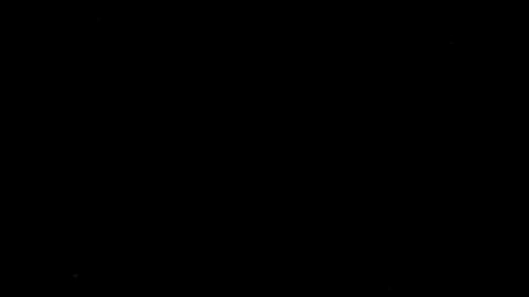 12621